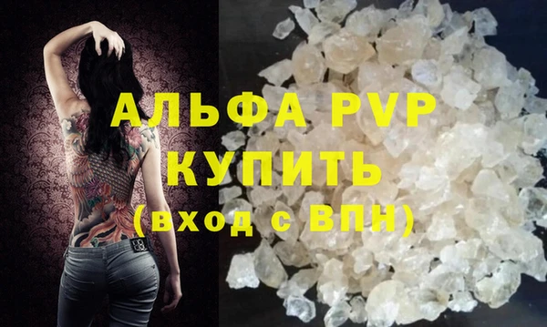PSILOCYBIN Верея